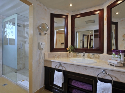 Deluxe Suite Room