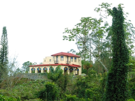 Cuban Art Museum