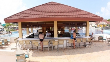 Pool Aqua Bar Hortensia