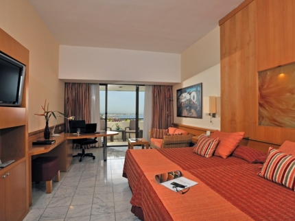 The Level Standard Room