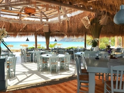 Snack bar Arenas Blancas section