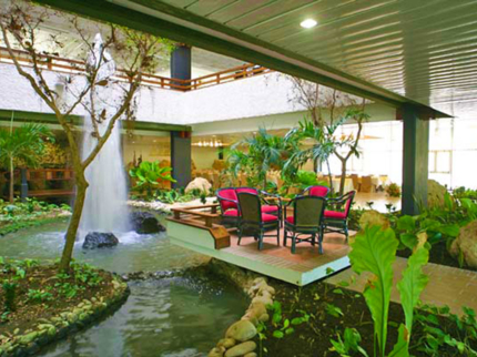 Snack bar Los Helechos