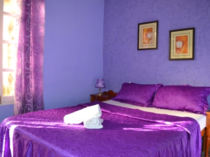 Violet standard room view