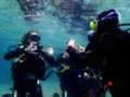 Diving courses in different centers of the country