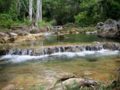 “To the Valley of the Mills and the Alturas de Banao Ecological Nature Reserve” Tour
