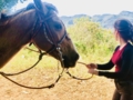 "Horseback Adventure through the Valley of Viñales" Tour