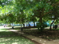 Las Coloradas Camping, Niquero, Granma.