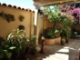 Inside patio view