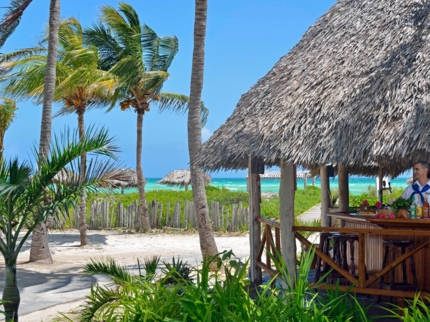 Beach Bar El Vigía
