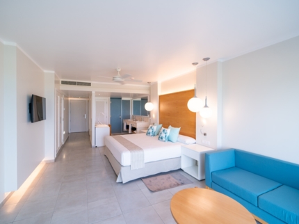 DELUXE JUNIOR SUITE SUPERIOR